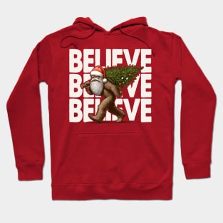 Believe in Bigfoot - Funny Christmas Hoodie